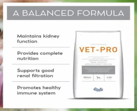 Drools Vet - Pro Renal Adult dog Dry Food at ithinkpets (4)
