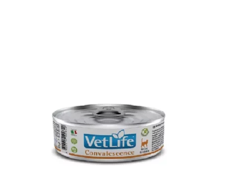 Farmina Vetlife Convalescence Cat Formula Wet Food Can, 85 Gms at ithinkpets