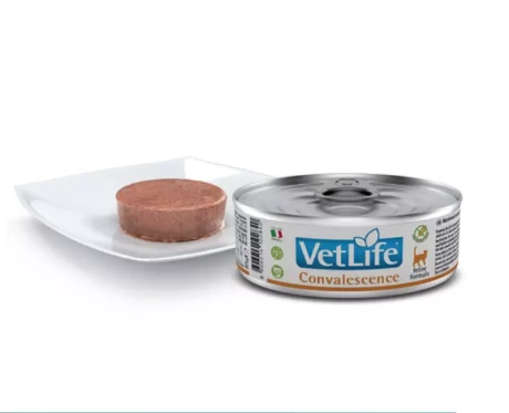Farmina Vetlife Convalescence Cat Formula Wet Food Can, 85 Gms at ithinkpets.com 2