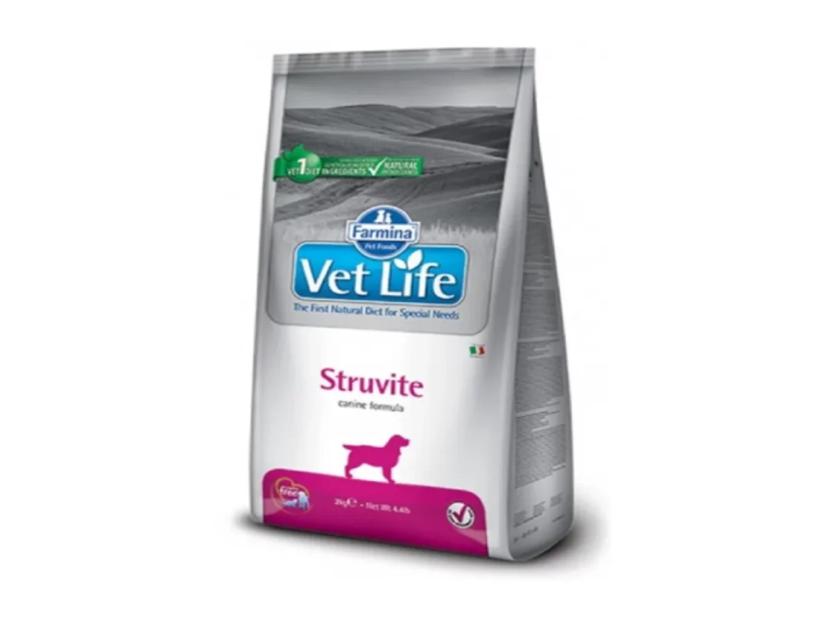 Best dog food outlet for struvite stones