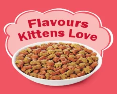 Friskies Discoveries Kitten Dry Food at ithinkpets