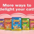 Friskies Discoveries Kitten Dry Food (Kitten & Baby Cat From 2 -12 Months)