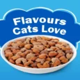Friskies Seafood Sensation Cat Dry Food, (Age 1 Yr +)