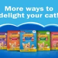 Friskies Seafood Sensation Cat Dry Food, (Age 1 Yr +)