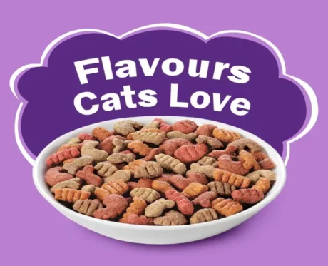 Friskies Surfin Favorites Cat Dry Food at ithinkpets
