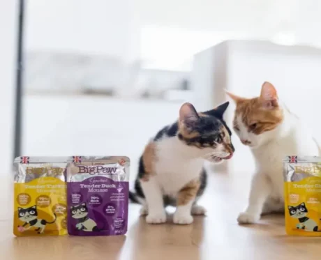 Little Big Paw Gourmet Poultry Mix Cat Pack at ithinkpets.com (2)