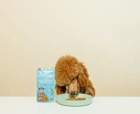 Little Big Paw Steamed Atlantic Salmon & Vegetables Dog Wet Food, 150 Gms at ithinkpets.com (2)
