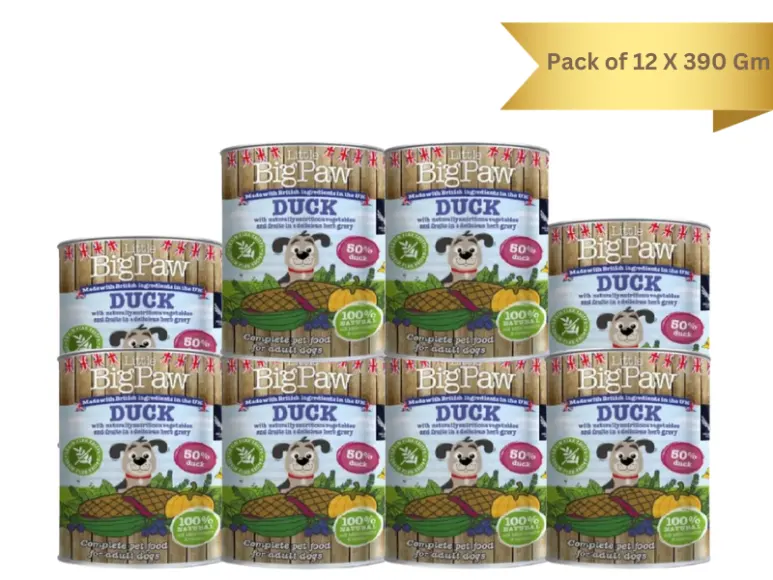 Little Big Paw Duck,Bluberries,Courgette,Pumpkin & Herbs Dog Wet Food, 390 Gms at ithinkpets