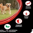 Purina Supercoat Adult All Breed, Dog Dry Food