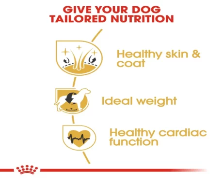 Royal Canin Cocker Spaniel Adult Dog Dry Food at ithinkpets (1)