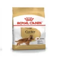 Royal Canin Cocker Spaniel Adult, Dog Dry Food