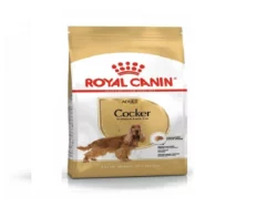 Royal Canin Cocker Spaniel Adult Dog Dry Food at ithinkpets