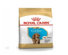 Royal Canin Cocker Spaniel Puppy Dog Dry Food at ithinkpets