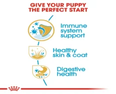 Royal Canin Cocker Spaniel Puppy Dog Dry Food at ithinkpets (4)