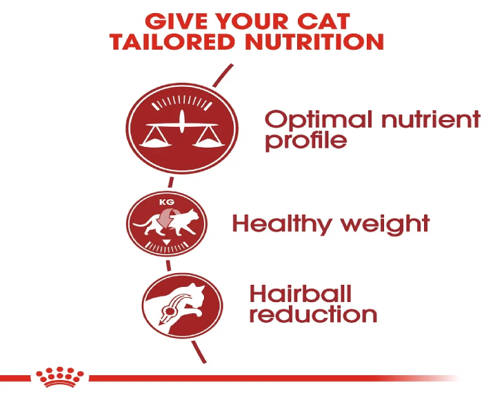 Royal Canin Fit 32 Dry Food Cat Food at ithinkpets (1)