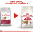 Royal Canin Fit 32 – Dry Food- Cat Food