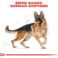 Royal Canin German Shepherd Adult, Dog Dry Food