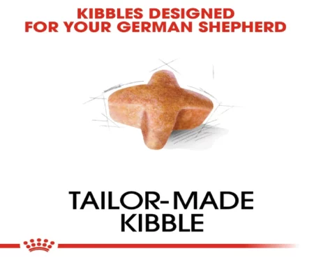 Royal Canin German Shepherd Adult Dog Dry Food at ithinkpets (5)