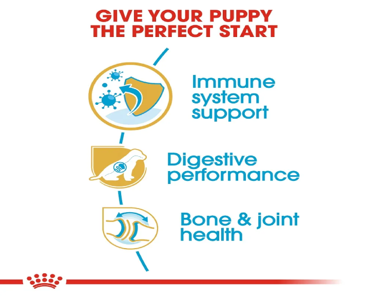 Royal Canin German Shepherd Puppy Dog Dry Food at ithinkpets (4)