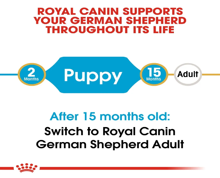 Royal Canin German Shepherd Puppy Dog Dry Food at ithinkpets (5)