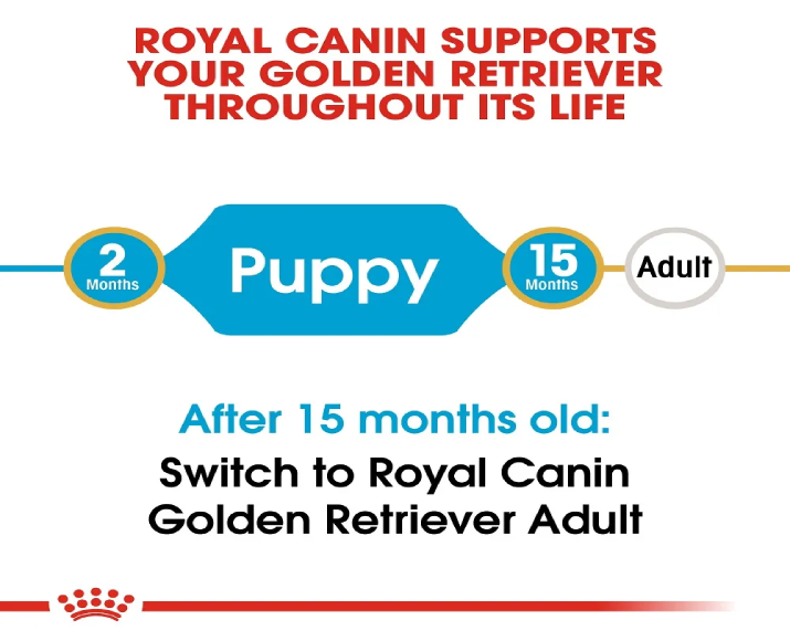 Royal Canin Golden Retriever Puppy Dog Dry Food at ithinkpets (2)