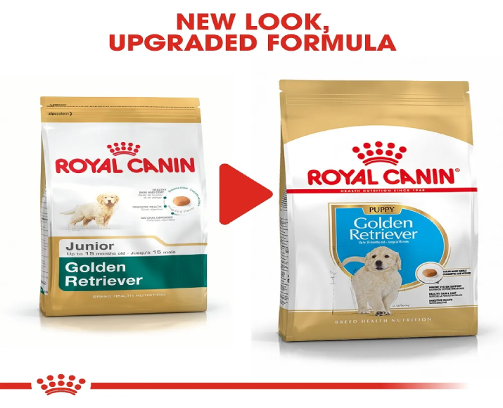 Royal Canin Golden Retriever Puppy Dog Dry Food at ithinkpets (4)