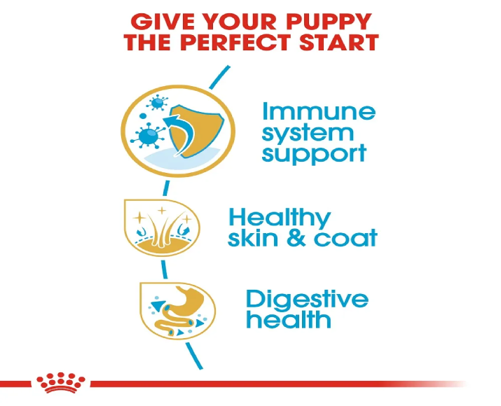 Royal Canin Golden Retriever Puppy Dog Dry Food at ithinkpets (5)