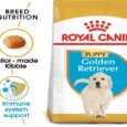 Royal Canin Golden Retriever Puppy, Dog Dry Food
