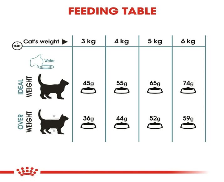 Royal Canin Hairball Care Cat Dry Food at ithinkpets (1)