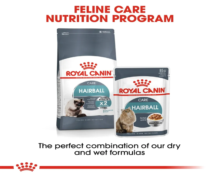 Royal Canin Hairball Care Cat Dry Food at ithinkpets (2)