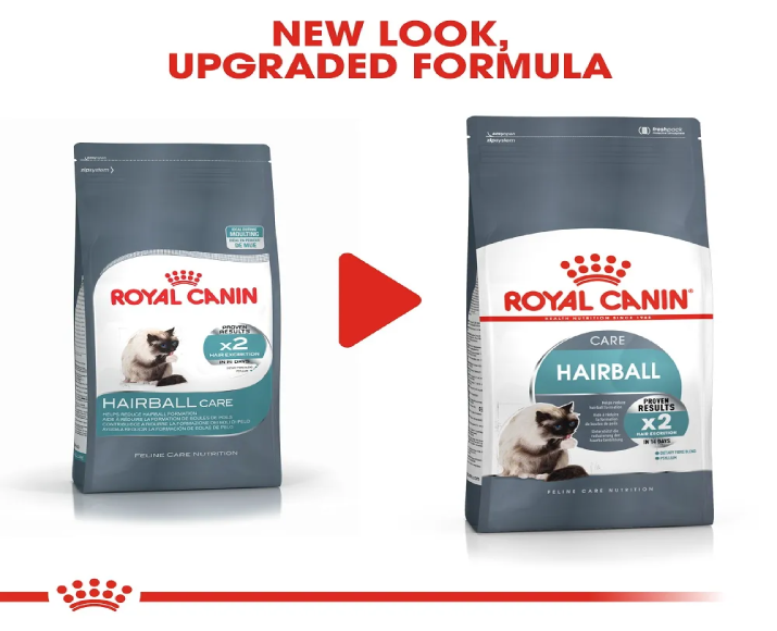 Royal Canin Hairball Care Cat Dry Food at ithinkpets (3)