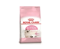 Royal Canin Kitten 36 Second Age Dry Cat Food at ithinkpets (1)