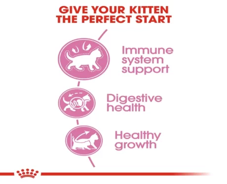 Royal Canin Kitten 36 Second Age Dry Cat Food at ithinkpets (2)