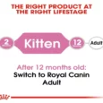 Royal Canin Kitten, 36 Second Age Dry Cat Food