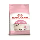 Kitten Food