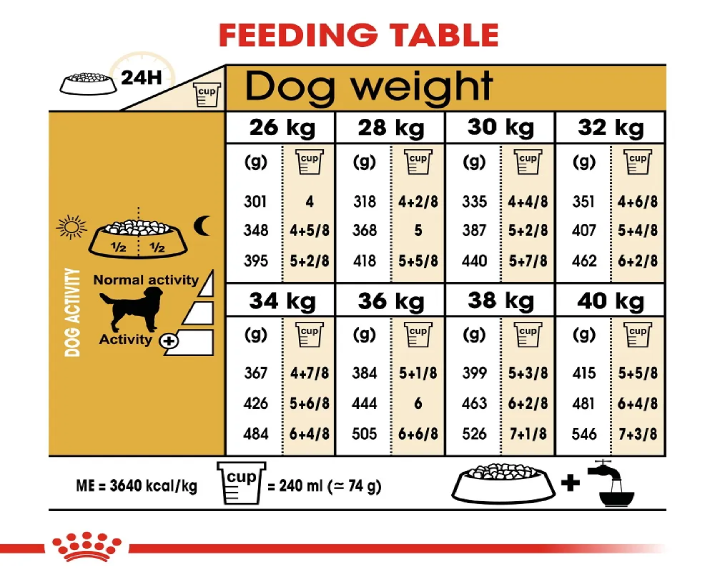 Royal Canin Labrador Adult Dog Dry Food at ithinkpets (1) (1)