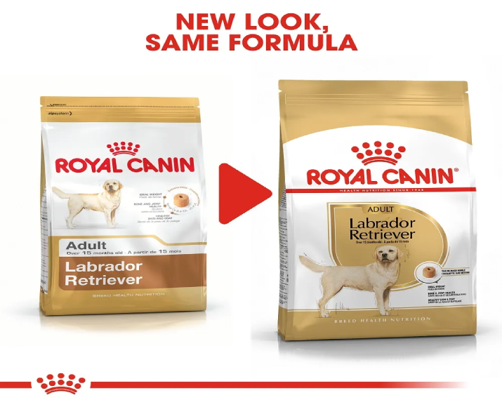 Royal Canin Labrador Adult Dog Dry Food at ithinkpets (3)
