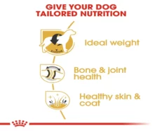 Royal Canin Labrador Adult Dog Dry Food at ithinkpets (7)