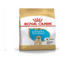 Royal Canin Labrador Puppy Dog Dry Food at ithinkpets