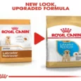 Royal Canin Labrador Puppy, Dog Dry Food