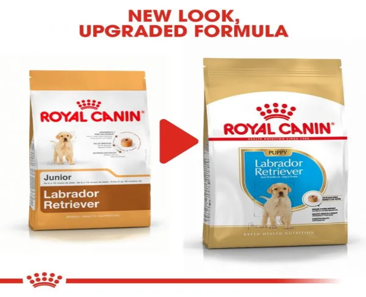 Royal Canin Labrador Puppy Dog Dry Food at ithinkpets (3)