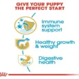 Royal Canin Labrador Puppy, Dog Dry Food