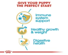 Royal Canin Labrador Puppy Dog Dry Food at ithinkpets (6)