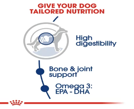 Royal Canin Maxi Breed Adult Dog Dry Food at iithinkpets (6)