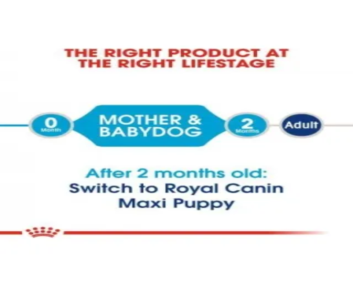 Royal Canin Maxi Breed Starter Dog Dry Food at ithinkpets (1)