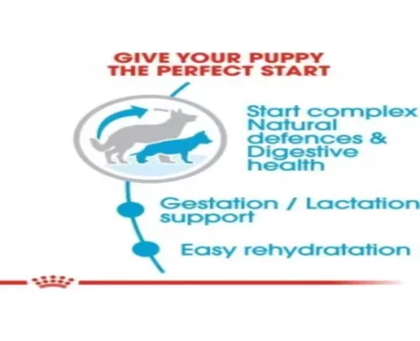 Royal Canin Maxi Breed Starter Dog Dry Food at ithinkpets (3)