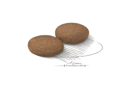 Royal Canin Mini Breed Puppy Dog Dry Food at ithinkpets (1)