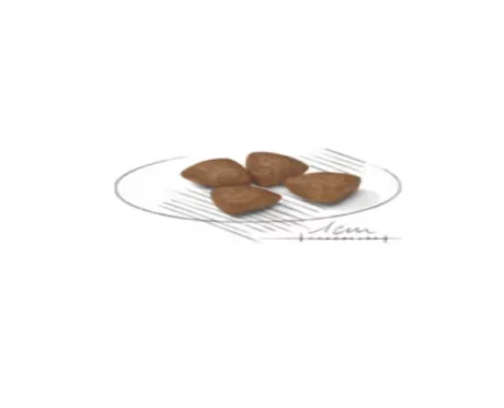 Royal Canin Mini Breed Starter Dog Dry Food at ithinkpets (1)