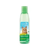 Oral Care