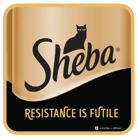 sheba-new-logo